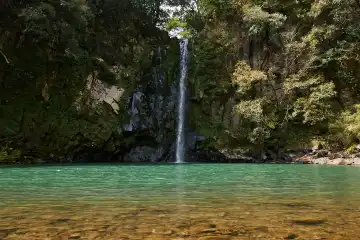 a waterfall in a forest