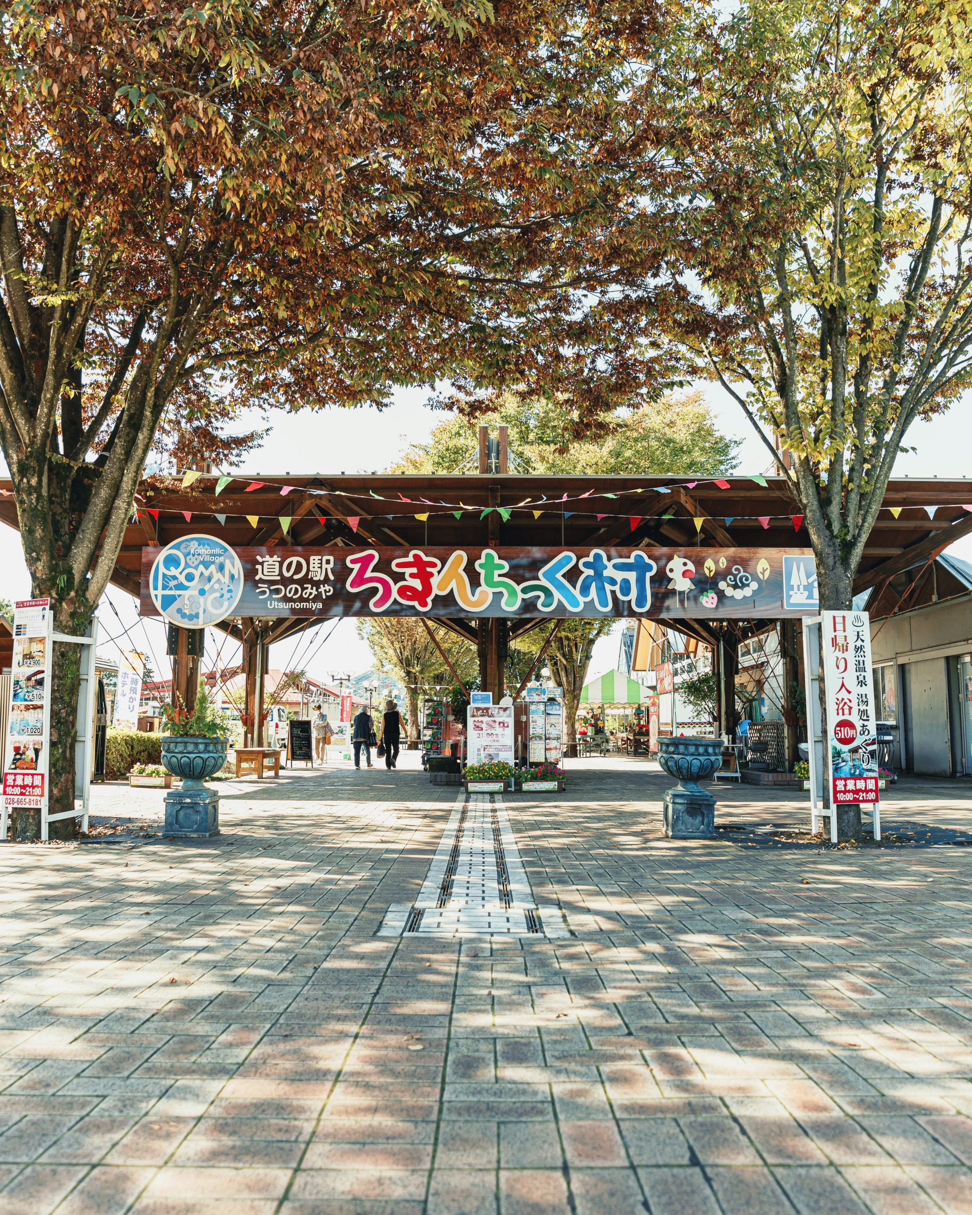 a street with trees and a sign
