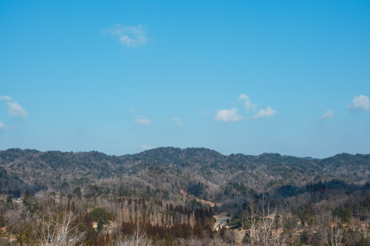a landscape of a forest and mountains