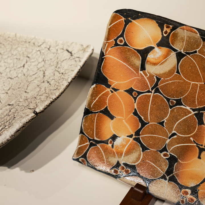 a plate with a pattern on it