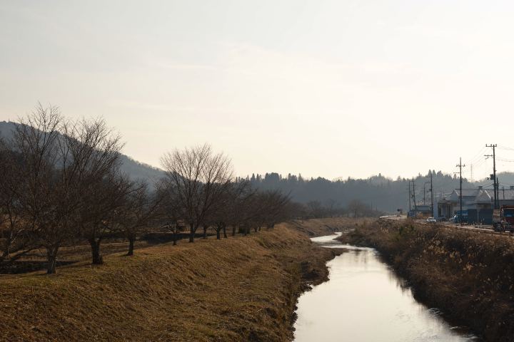 a river running through a field