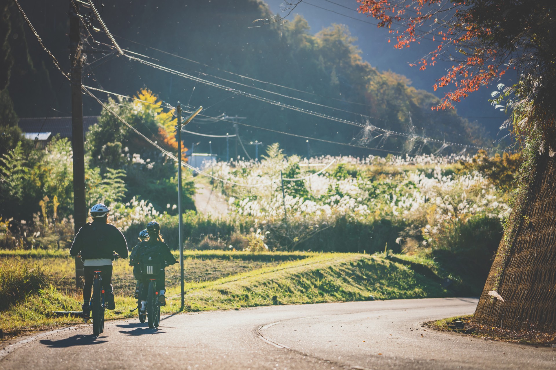 a couple of people on bicycles on a road
