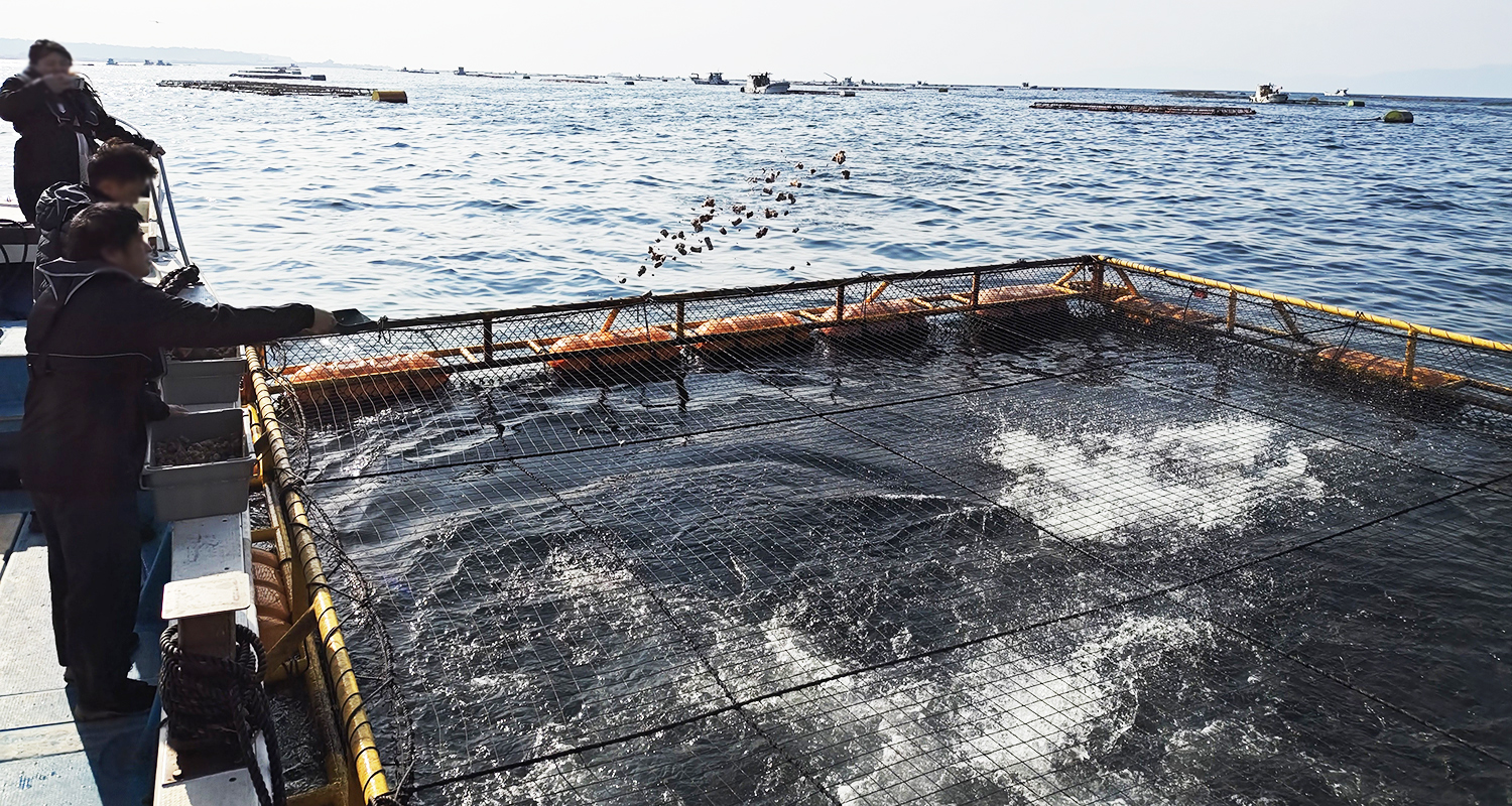 a fish cage in the ocean