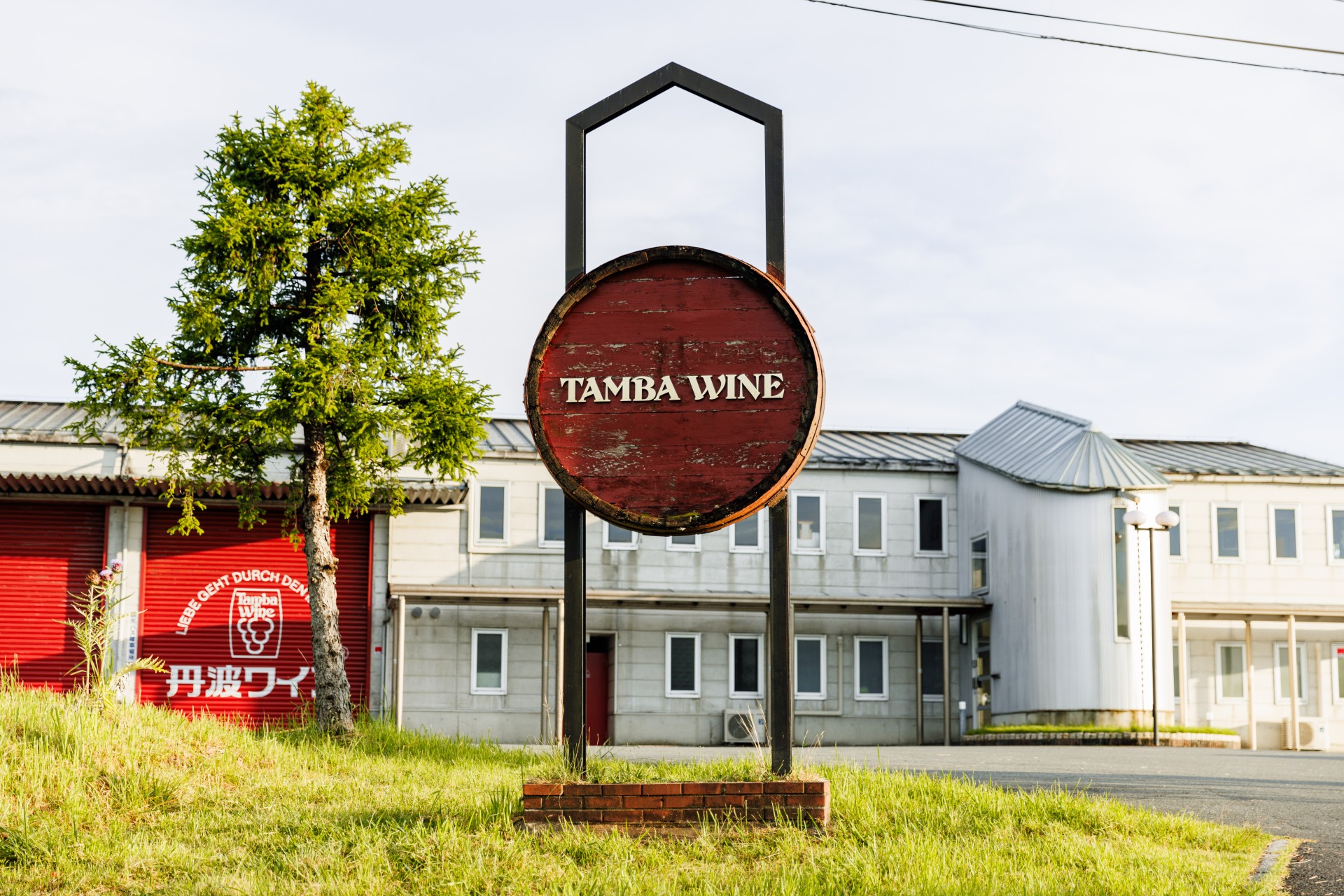 tamba wine