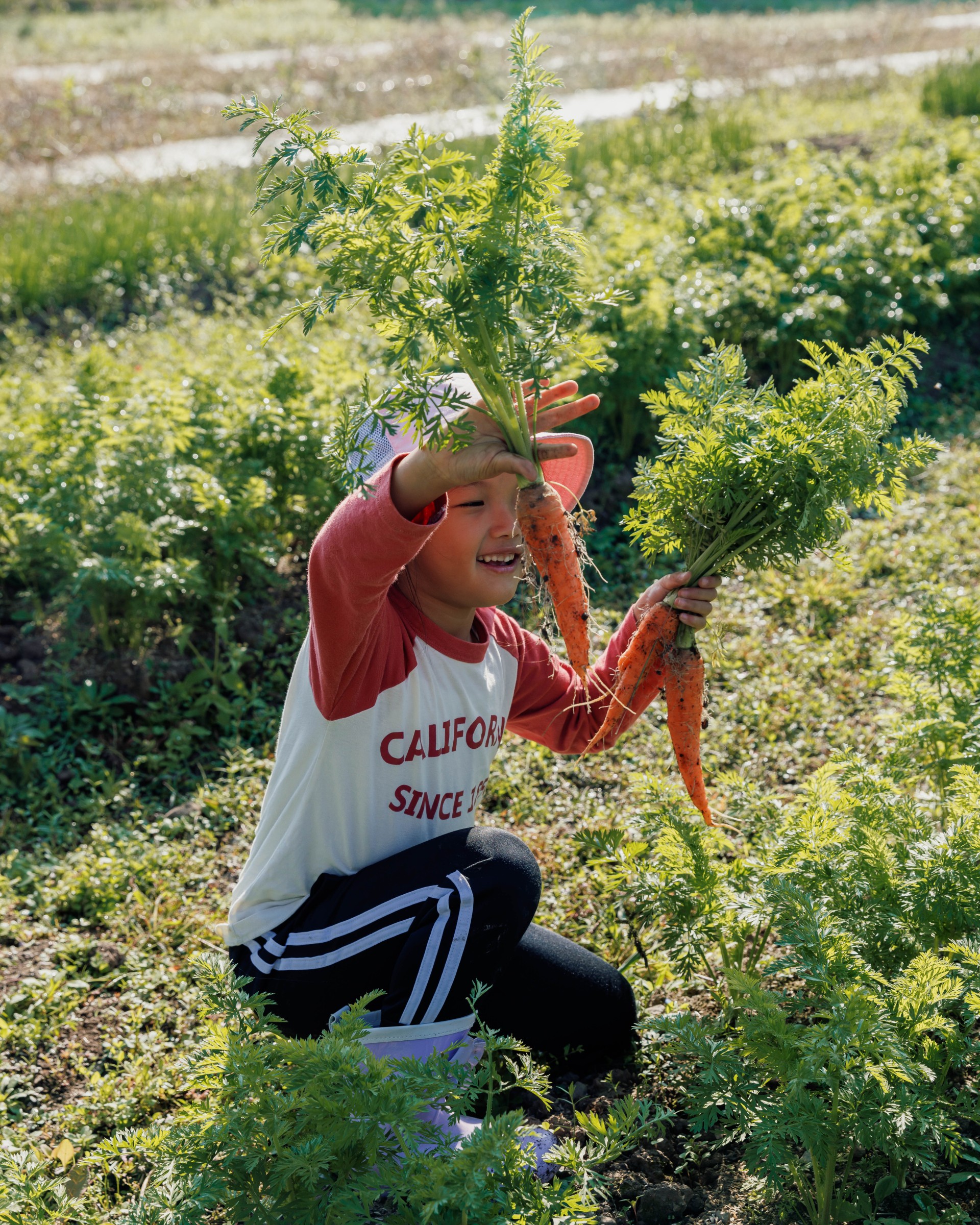 a child holding carrots in a field