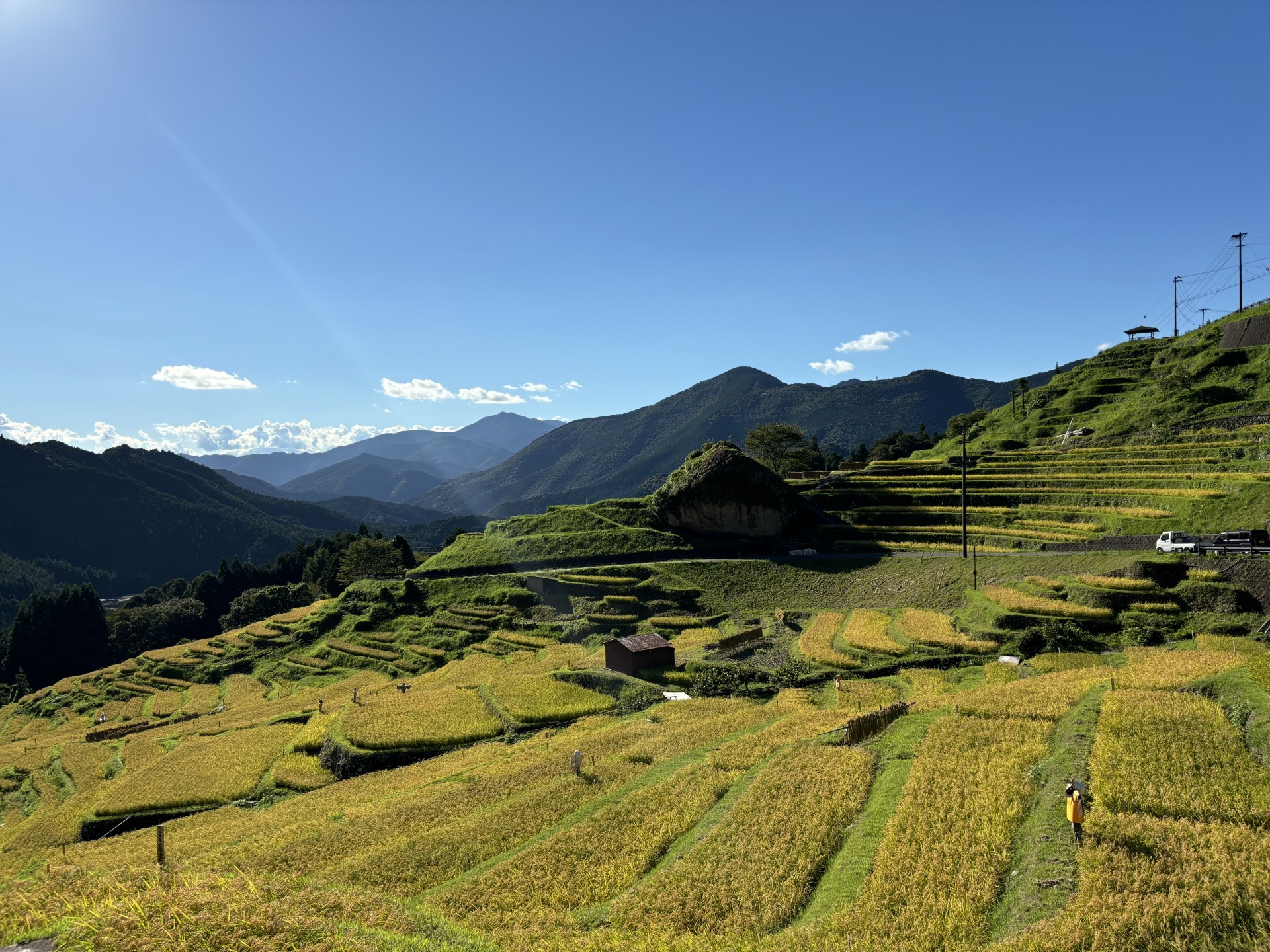 a green fields with mountains in the background