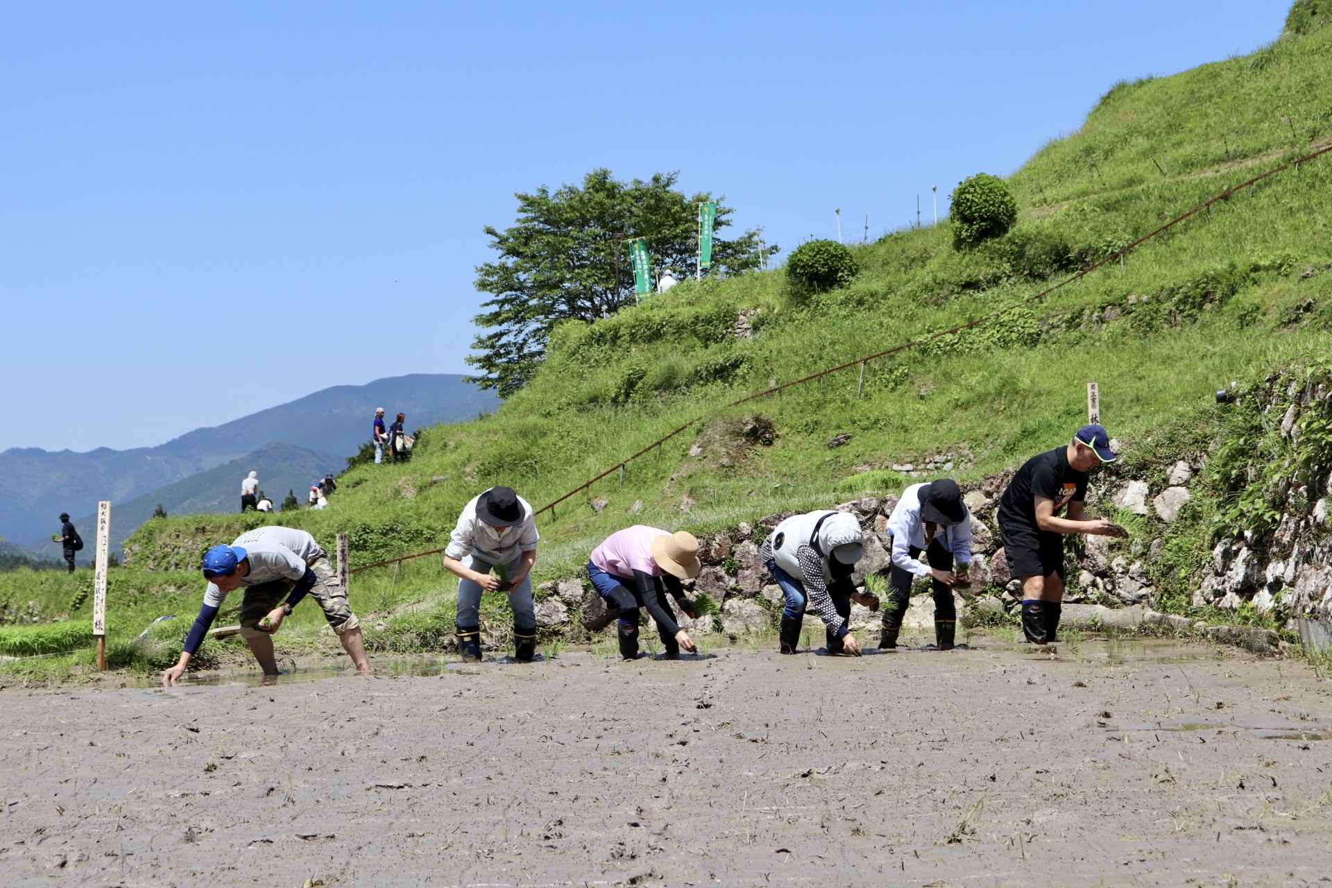 a group of people planting a field