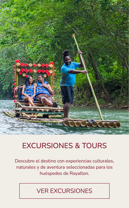 Excursions and tours available