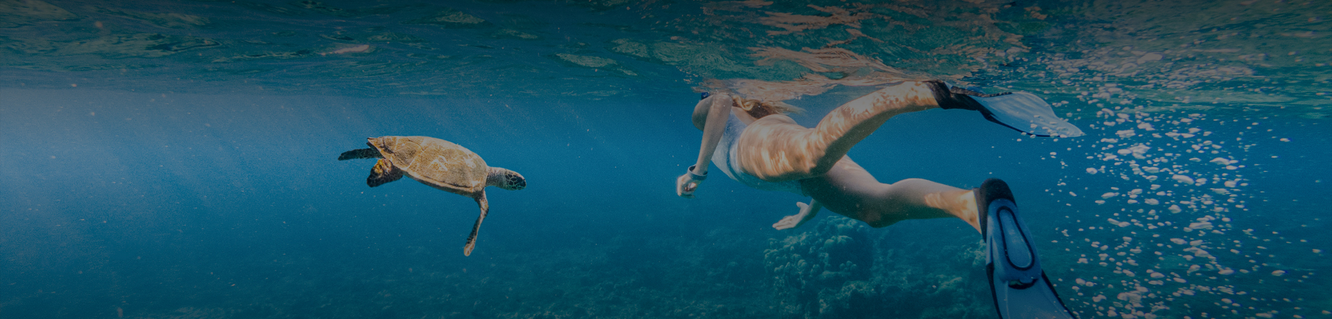 a woman swimming underwater with a turtle
