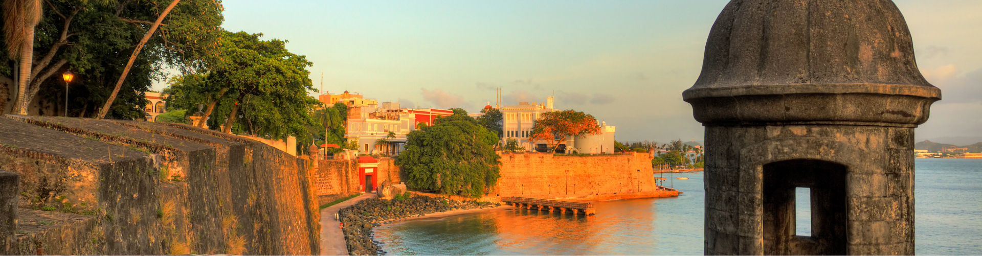 a body of water with buildings and trees