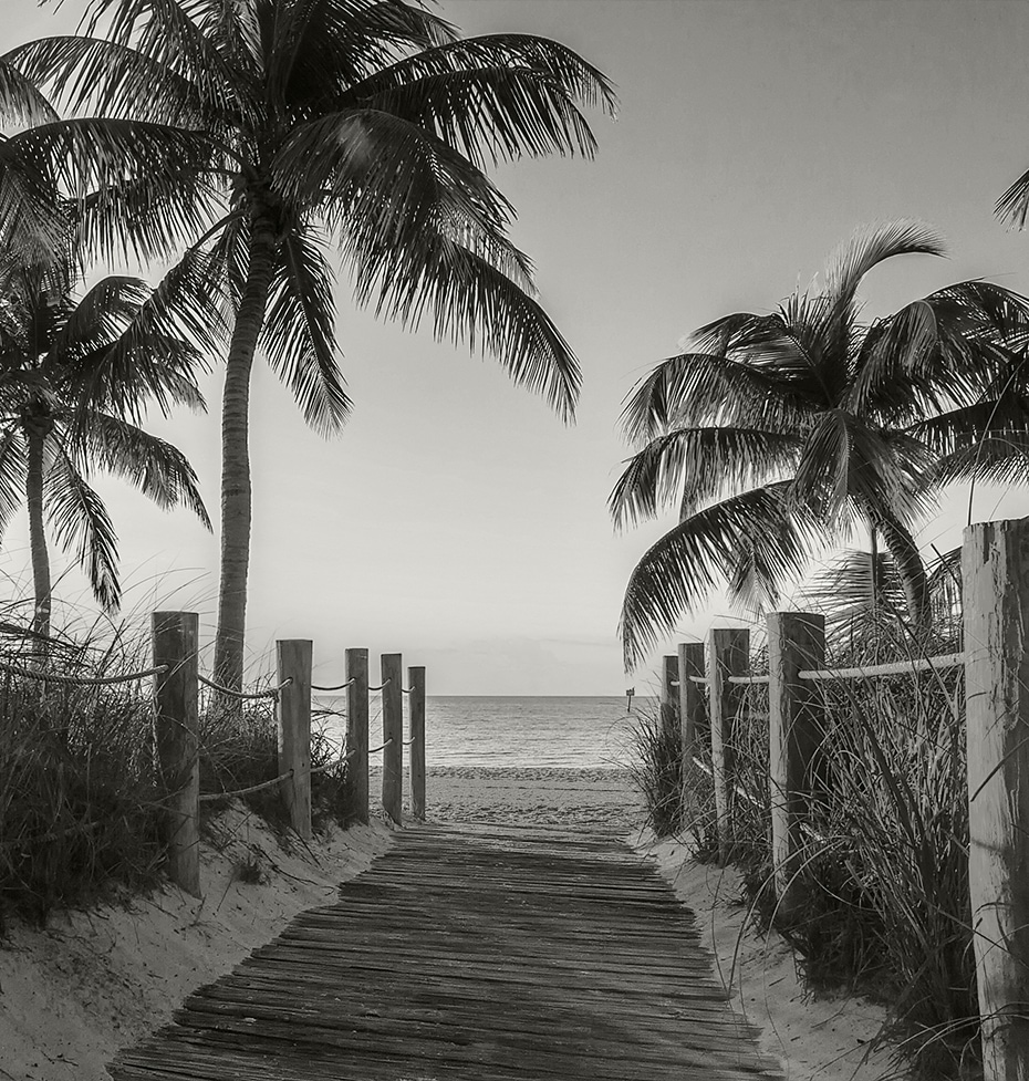 a path leading to a beach