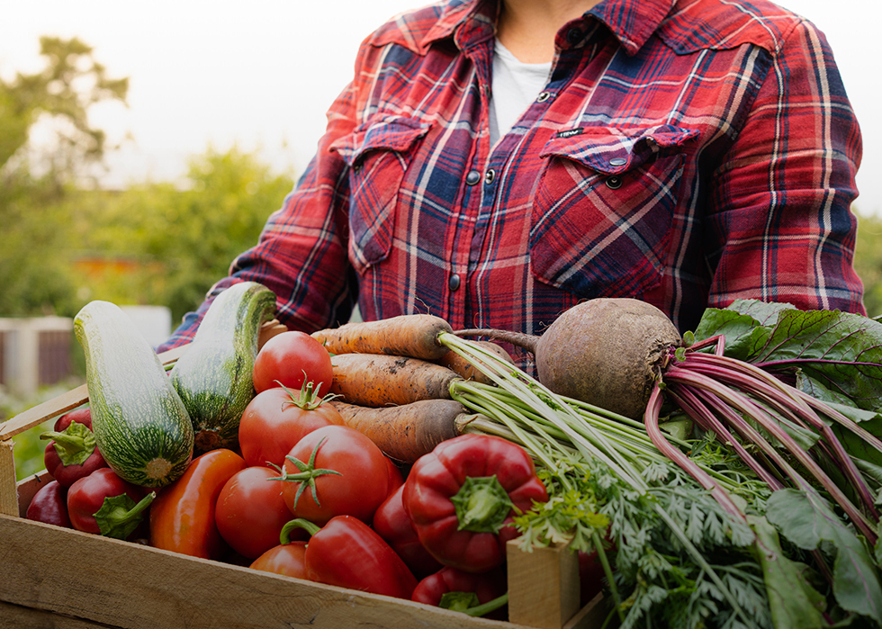 a person holding a crate of vegetables