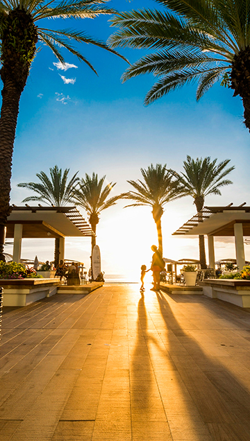 a group of people walking under palm trees