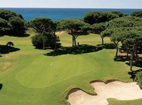 small aerial view of golf course with a medium sized hole in the camp
