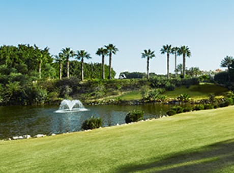 Natural landscape in a sunny day.