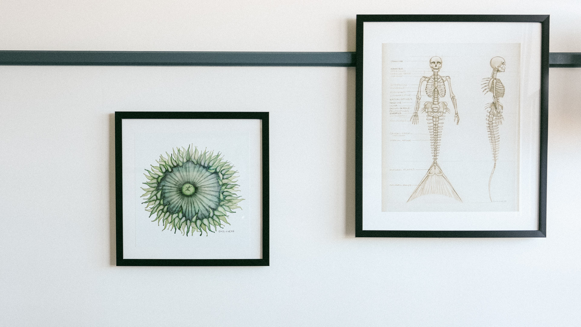 a framed pictures on a wall