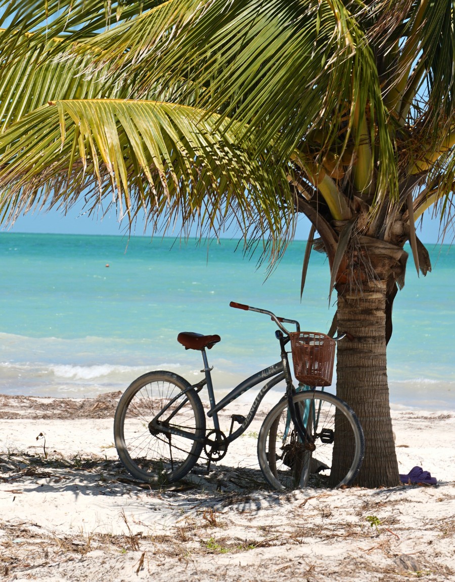 Holbox landscape ocean view