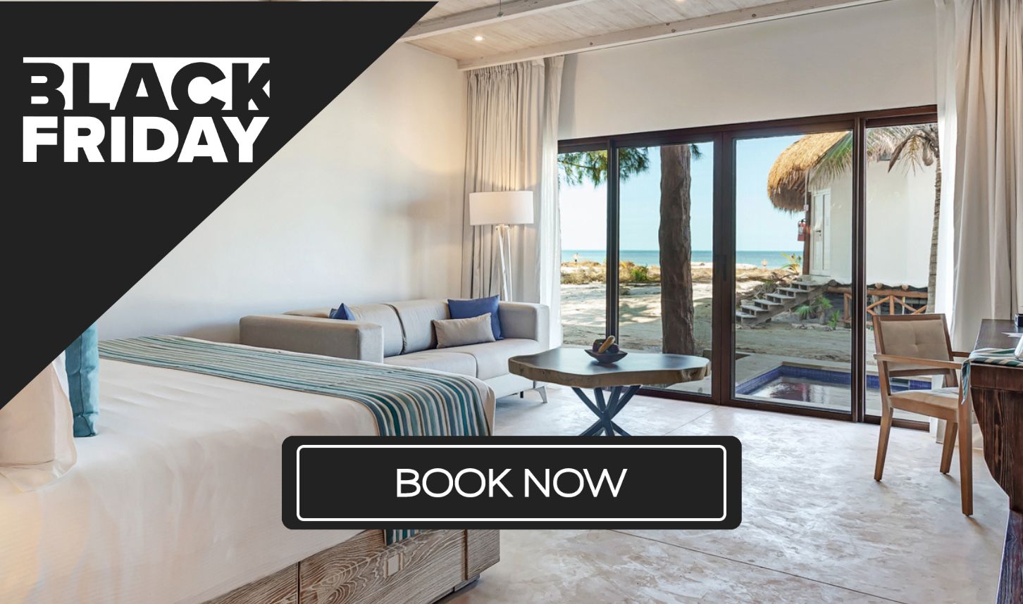 a room with a bed and a couch