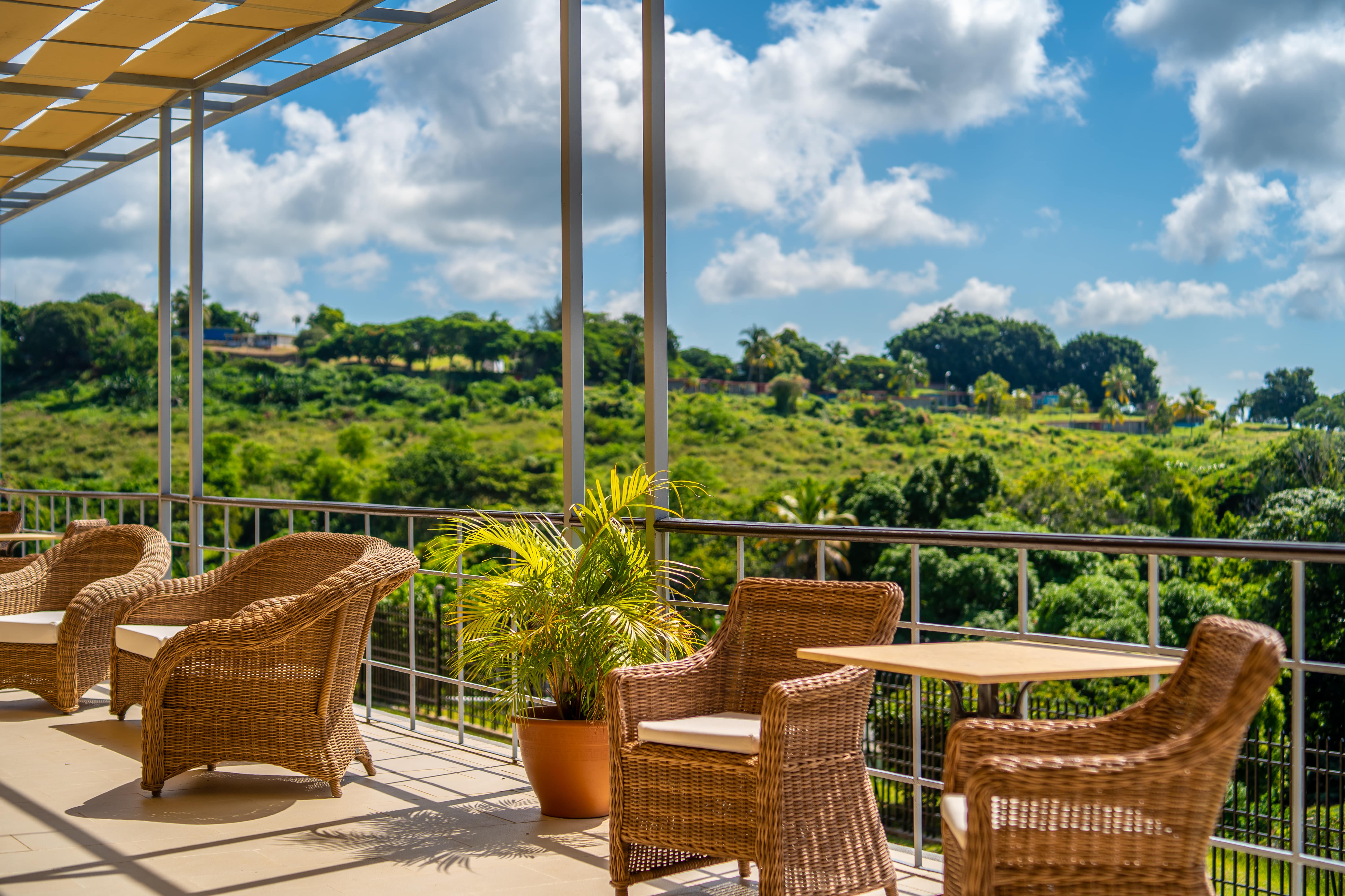 a patio with chairs and a table and a plant on a sunny day