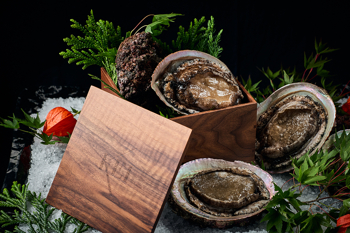 a wooden box with shells and plants