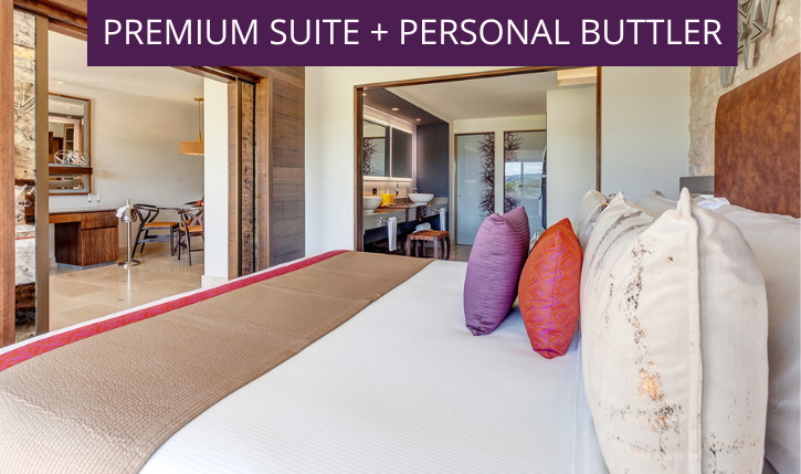 Picture of 13 Luxe Items You'll Only Find in the Homes of Billionaires (And How ...