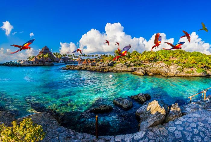 birds flying over a body of water