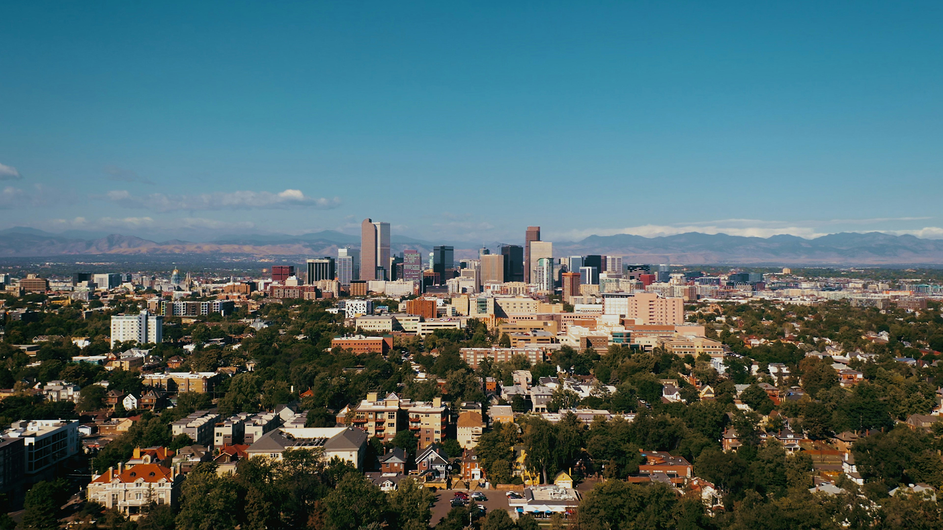 a city with trees and buildings main