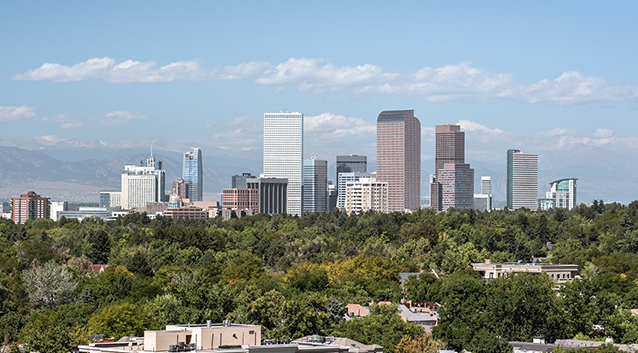 a city skyline with trees