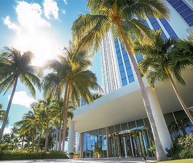 a building with palm trees