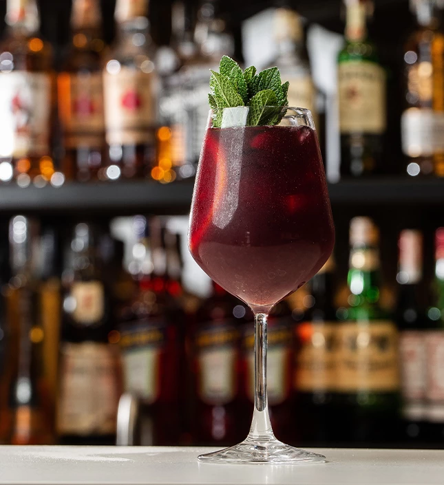 a glass of red liquid with a leafy garnish