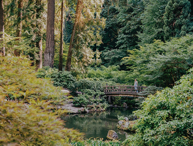 a person standing on a bridge over a pond surrounded by trees