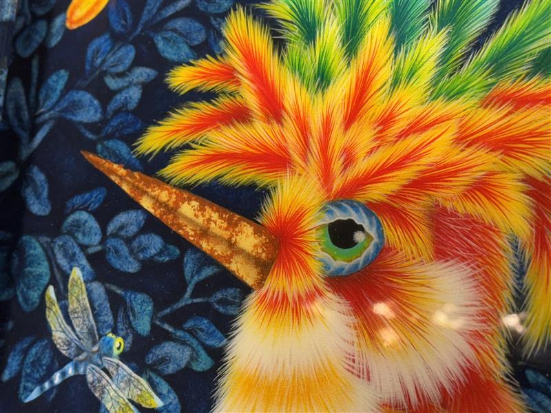 a colorful bird with a long beak