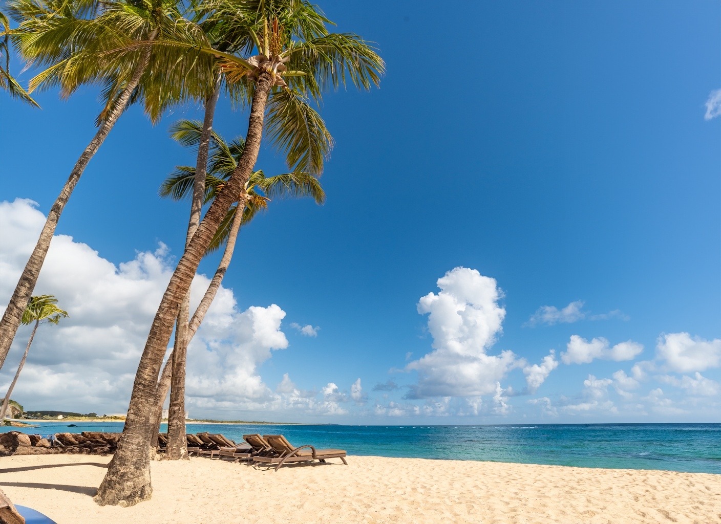a beach with palm trees and chairs