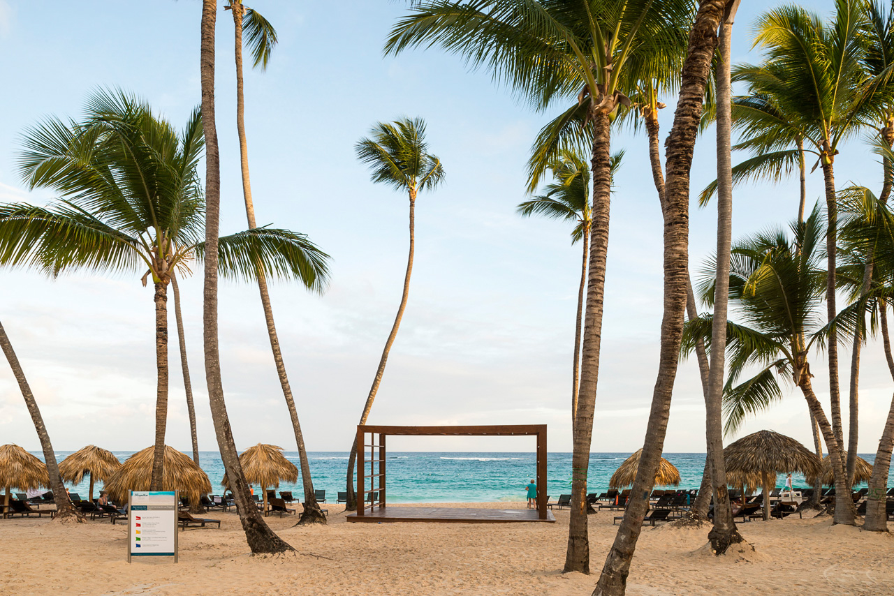 a beach with palm trees and a wooden structure