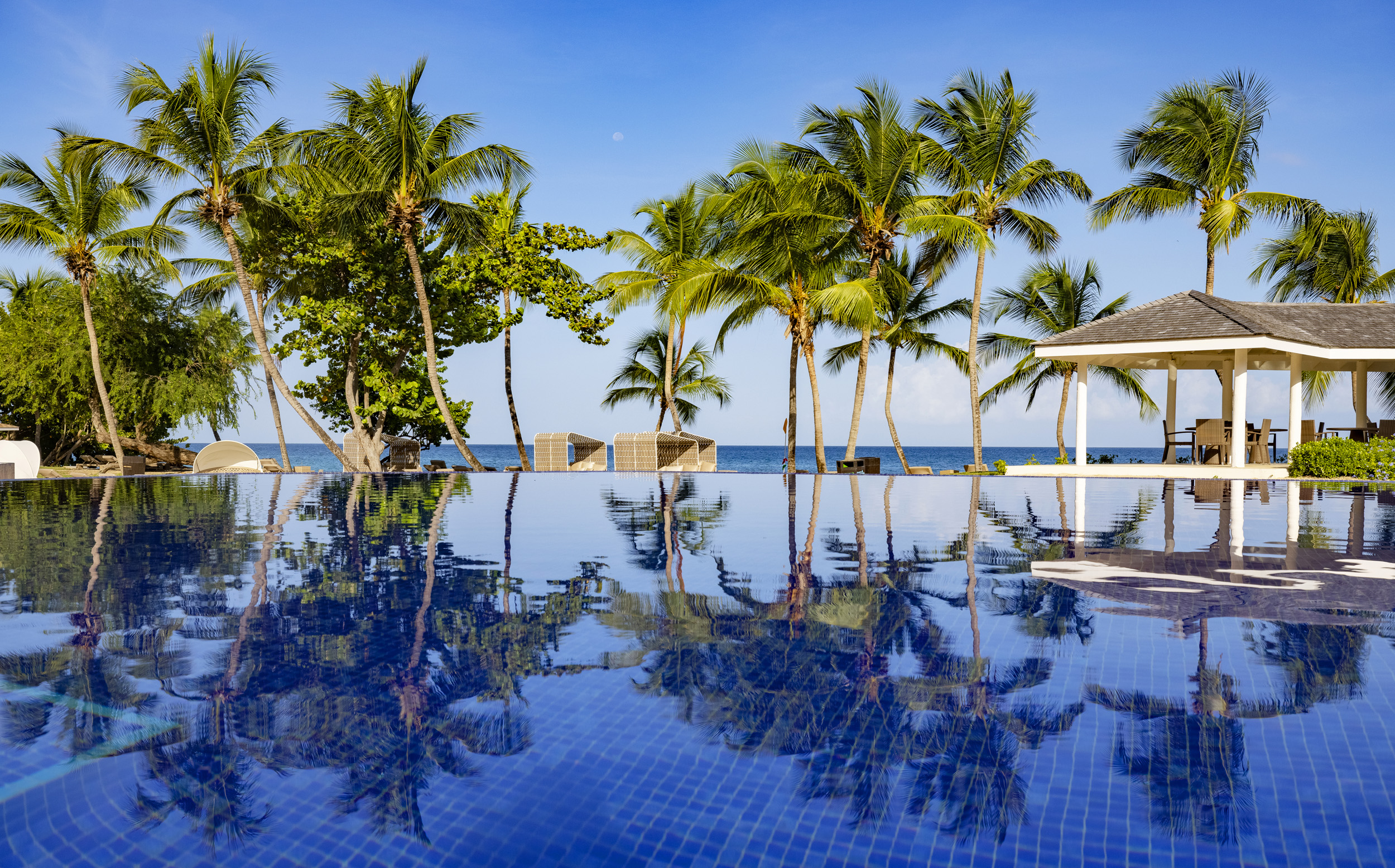 a pool with palm trees and a gazebo