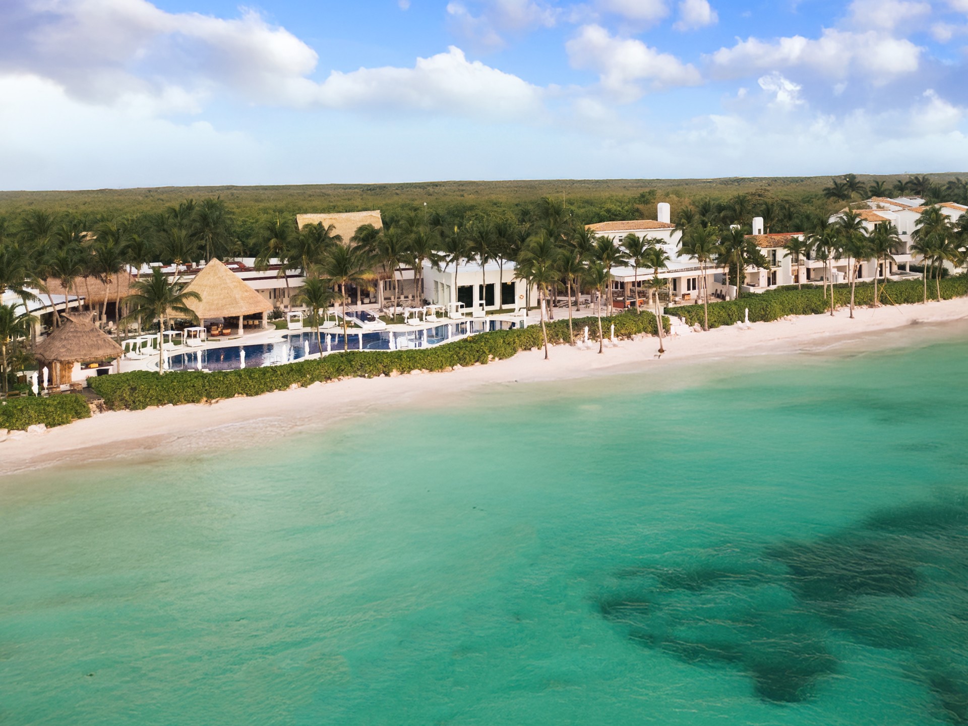 a beach with a building and palm trees