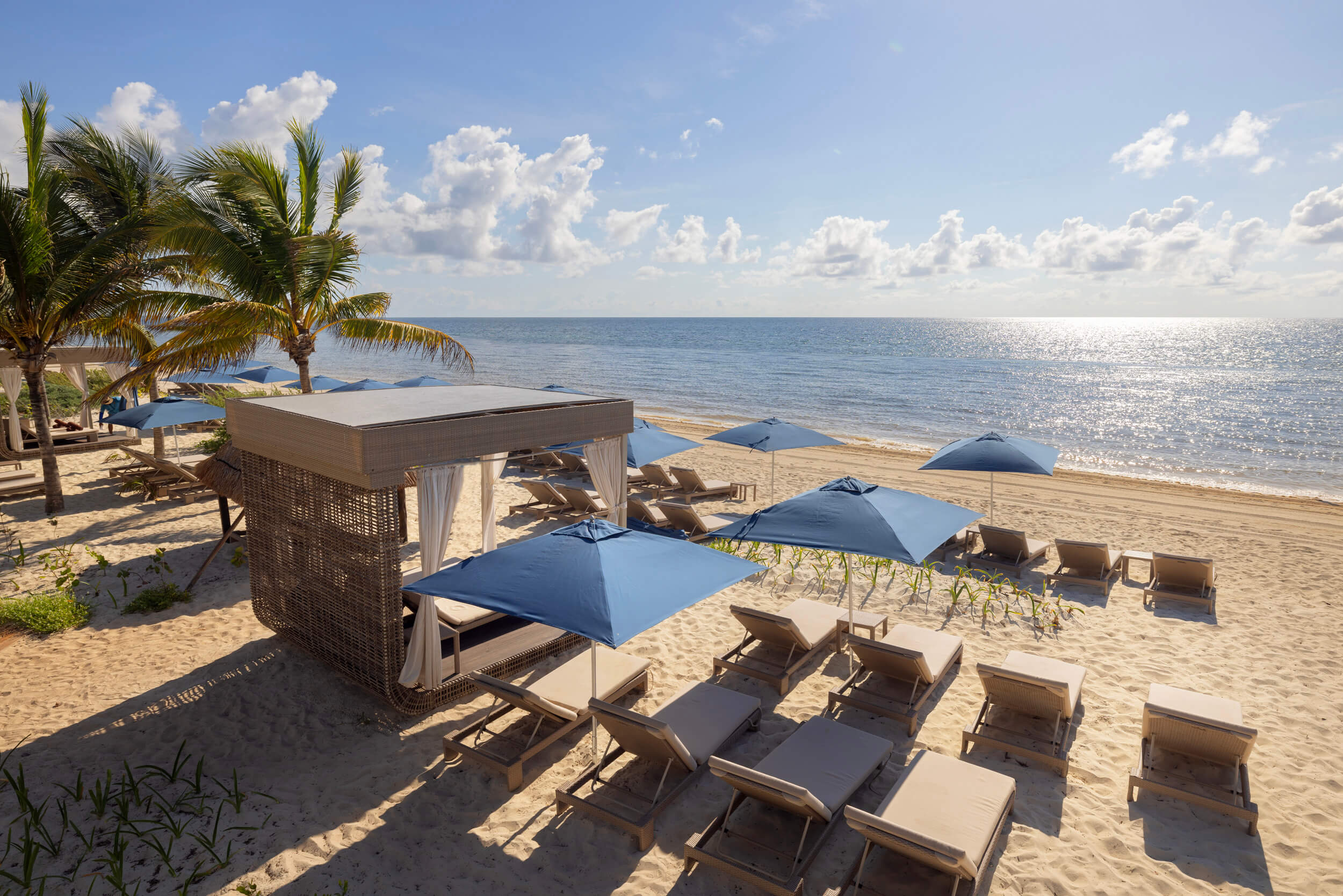 a beach with chairs and umbrellas