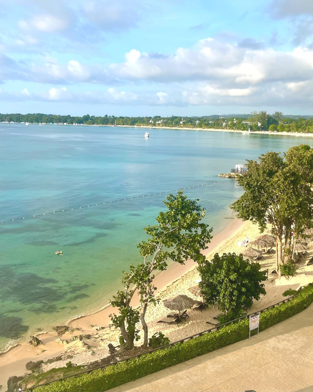 a beach with trees and a body of water