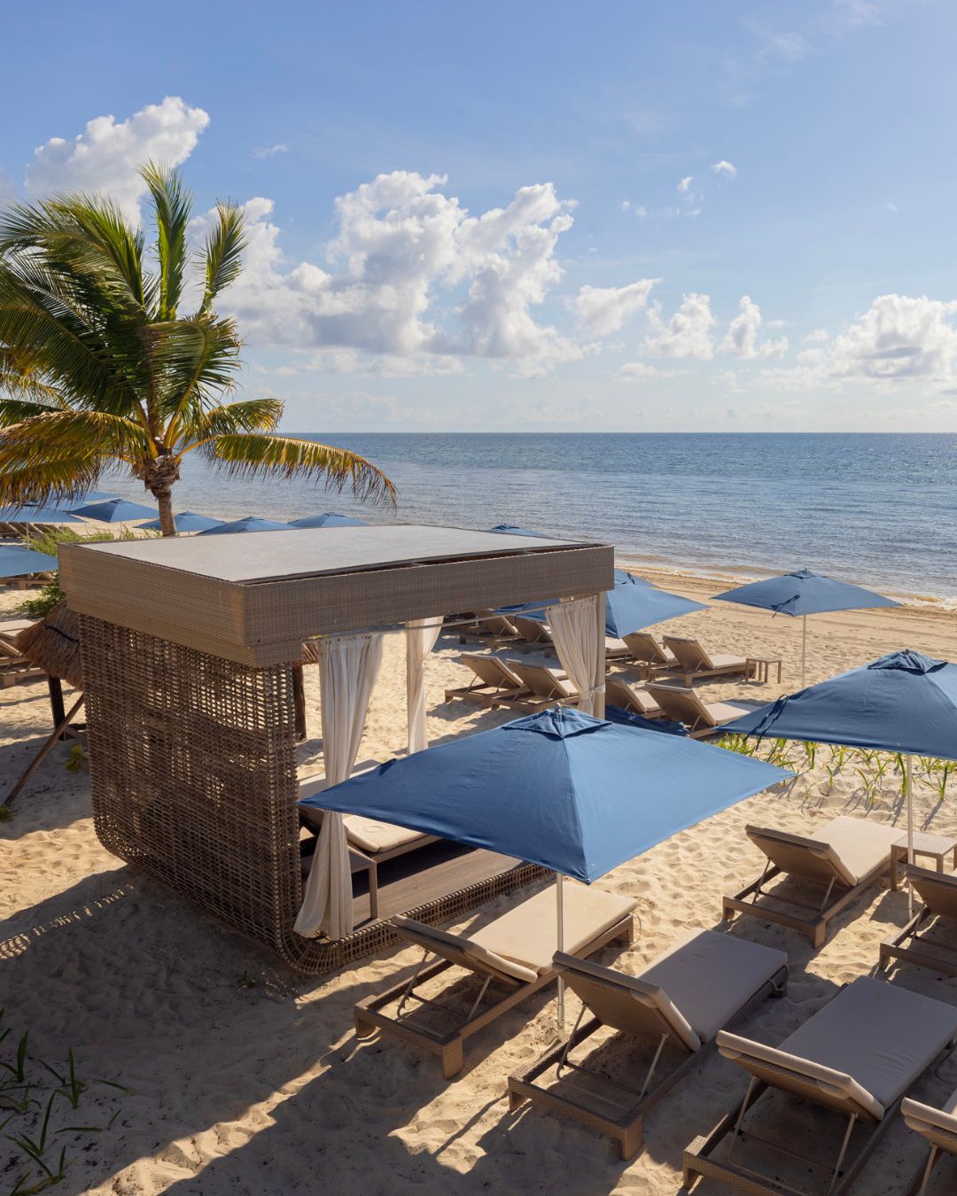 a beach with chairs and umbrellas