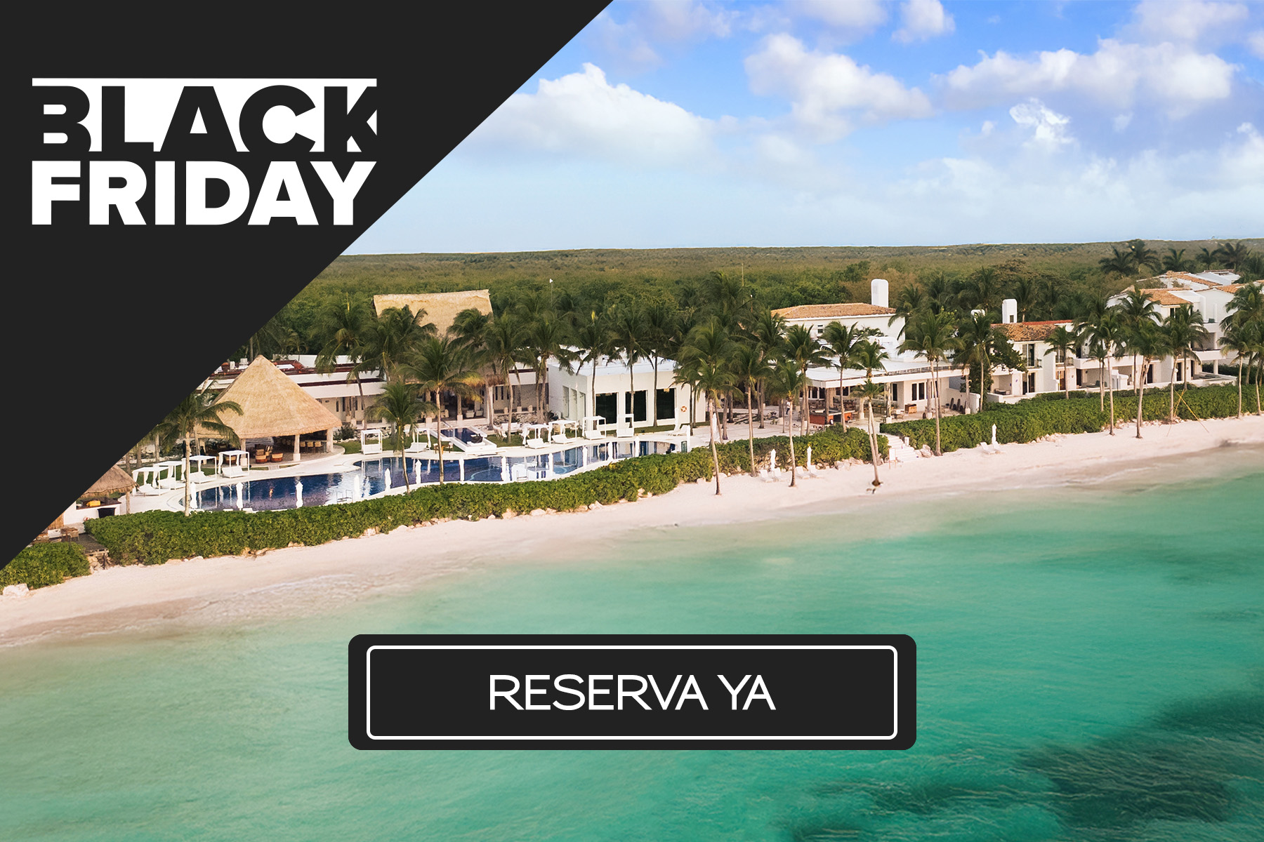 a beach with a building and palm trees