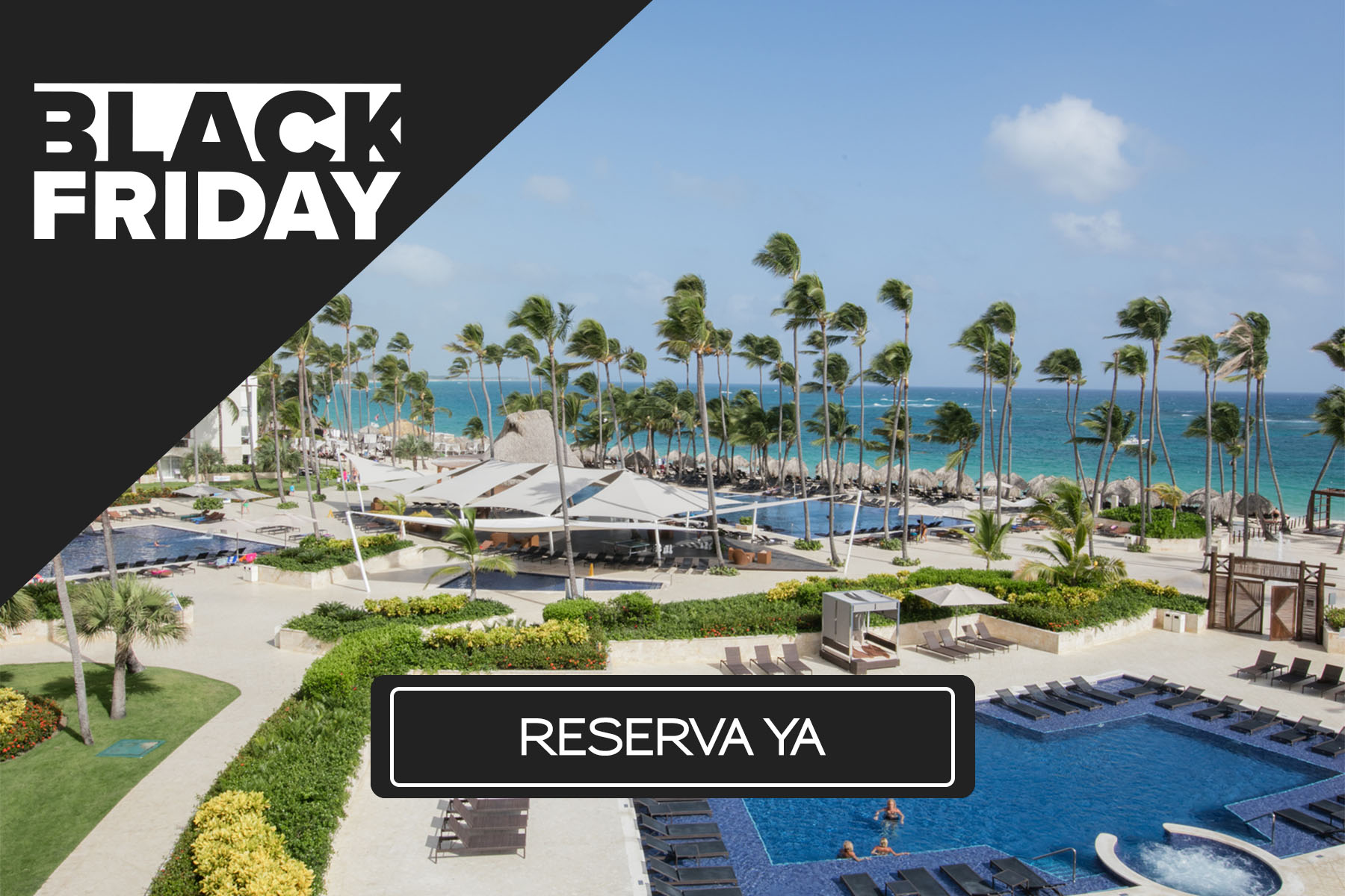 a resort with palm trees and a pool