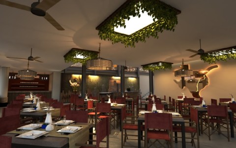 armadillo rrc render