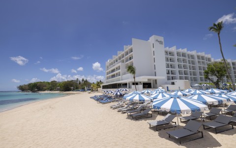 a beach with umbrellas and chairs on a sunny day