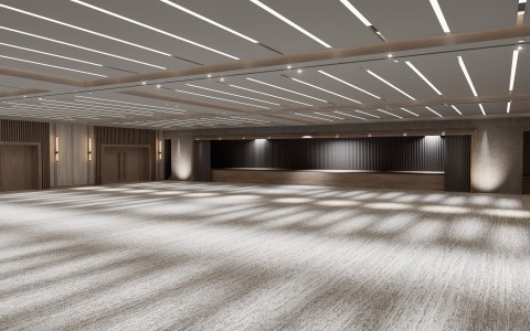 a large room with a white carpet and a light on the ceiling