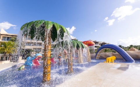 water park with palm trees and water slides