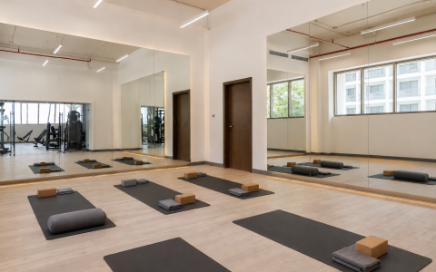 Moddo Fitness RVB