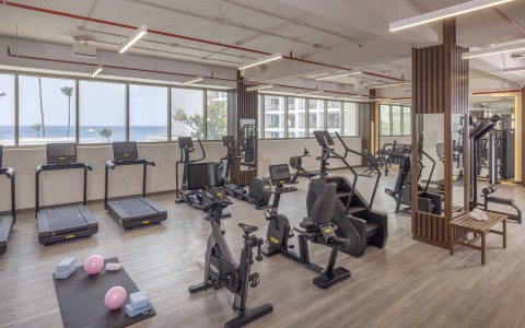 Moddo Fitness RVB