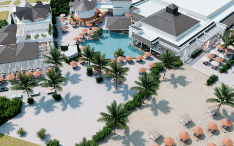 a swimming pool and palm trees