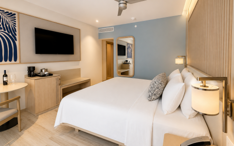 a room with a bed and a television