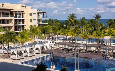 a pool with lounge chairs and palm trees